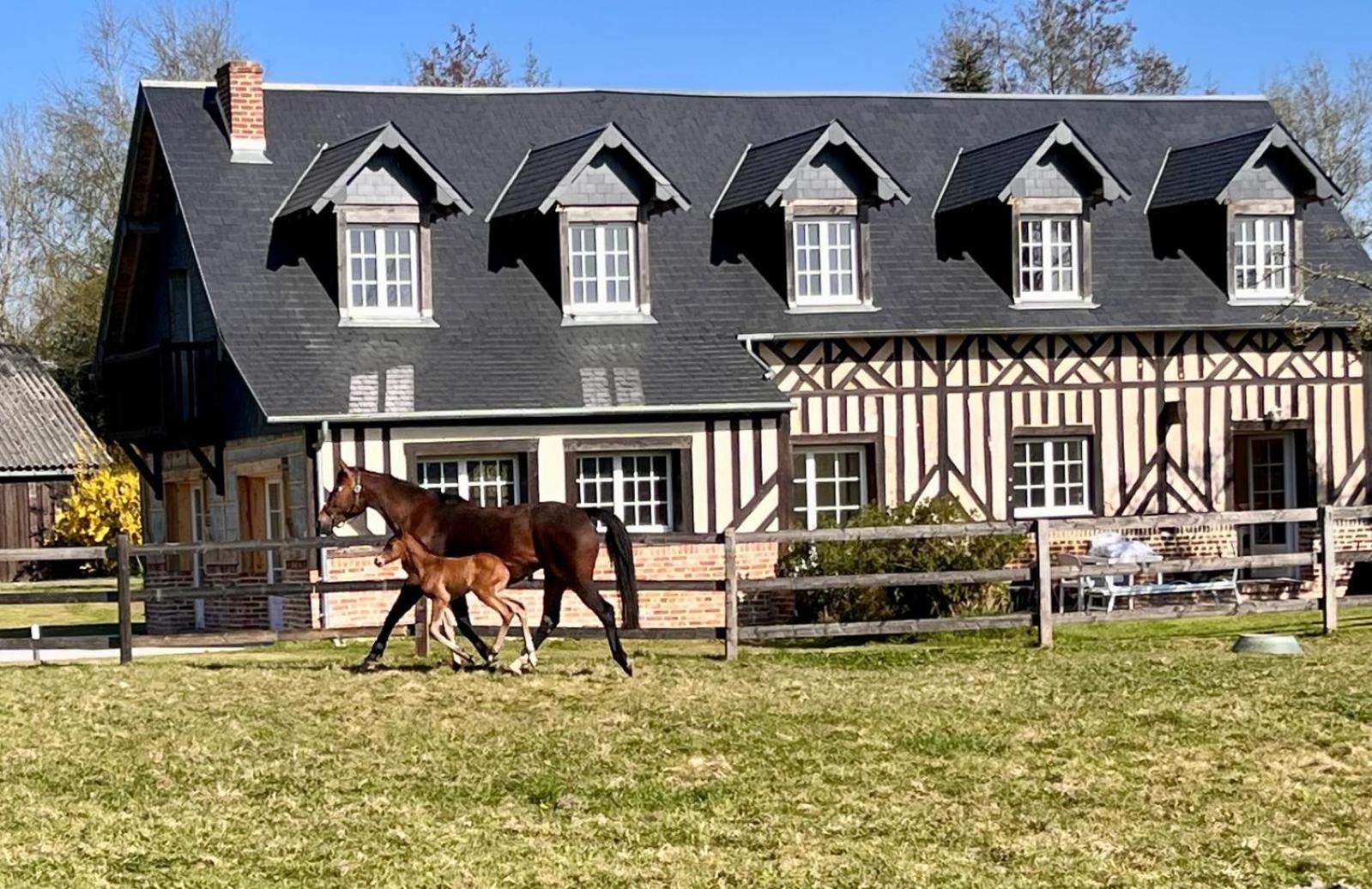 شقة La Longere Du Haras Manerbe المظهر الخارجي الصورة